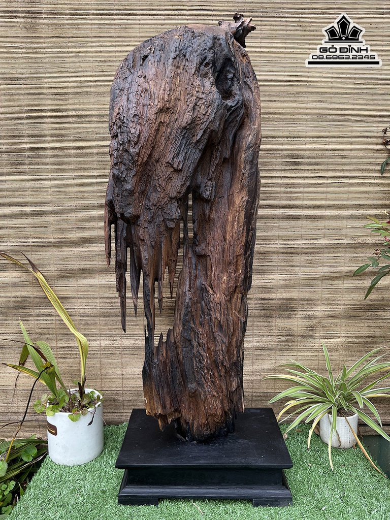 Tượng Đạt Ma Sư Tổ Gỗ Bách Xanh Cao 79 Ngang 28 Sâu 15 (cm) 2