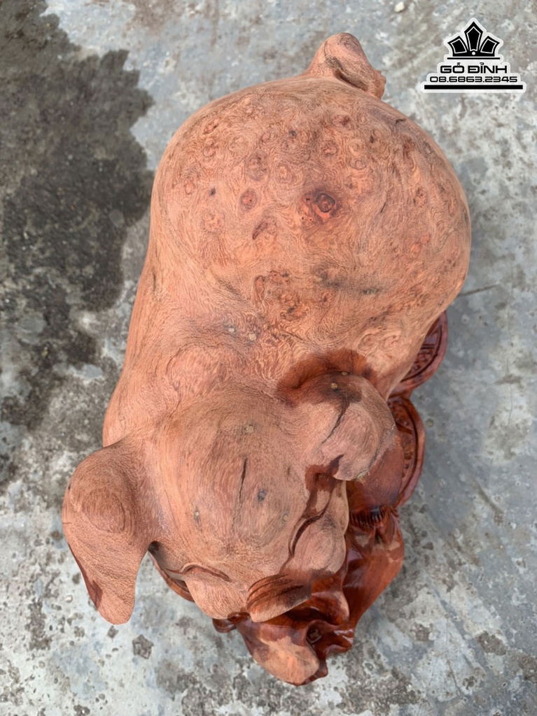 Tượng Heo Gỗ Nu Hương Cao 13 Ngang 25 Sâu 13 (cm) 3