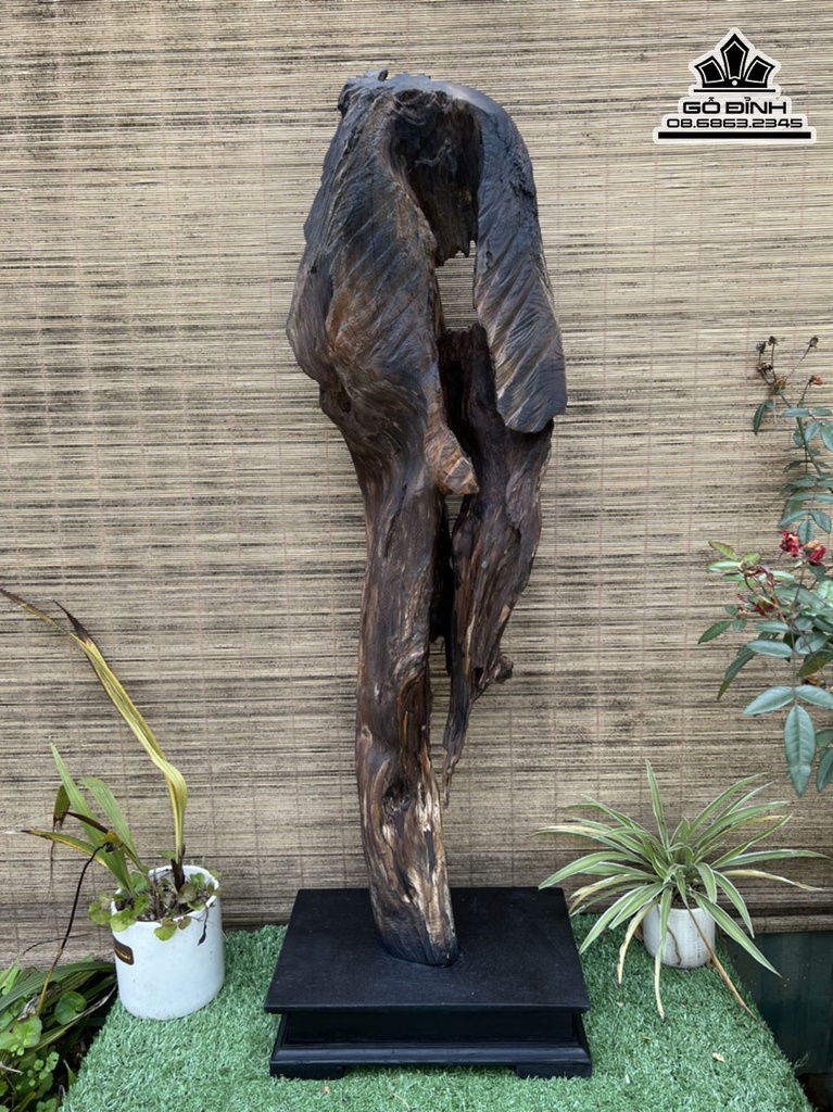 Tượng Đạt Ma Sư Tổ Gỗ Bách Xanh Cao 86 Ngang 28 Sâu 15 (cm) 7