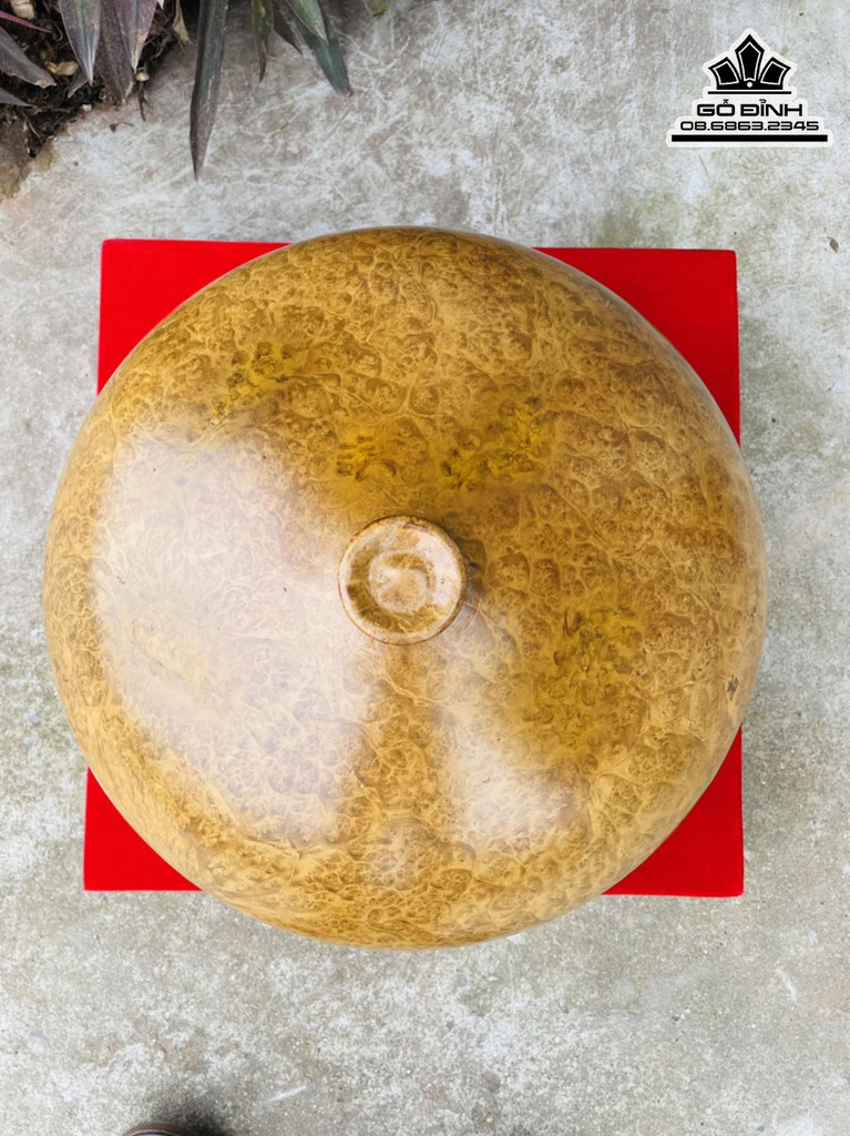 Bình Chum Phú Quý Gỗ Nu Kháo Cao 18 Đường Kính 35 (cm) 5