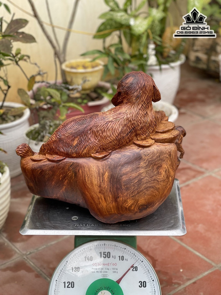 Tượng Chó Gỗ Hương Cao 40 Ngang 48 Sâu 26 (cm) 4