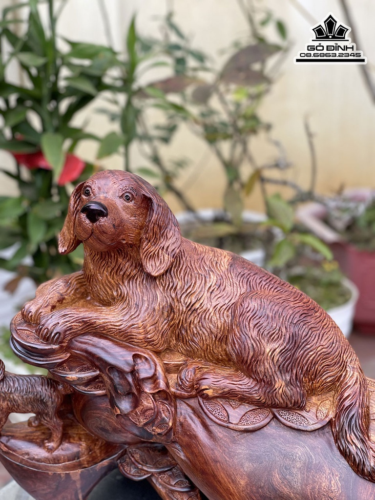 Tượng Chó Gỗ Hương Cao 40 Ngang 48 Sâu 26 (cm) 5