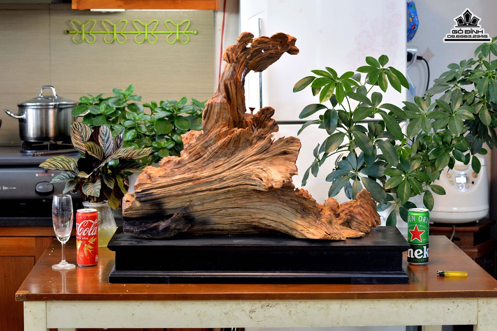 Tương Nhất Tâm Bái Phật Gỗ Bách Xanh Cao 68 Ngang 62 Sâu 20 (cm) 4