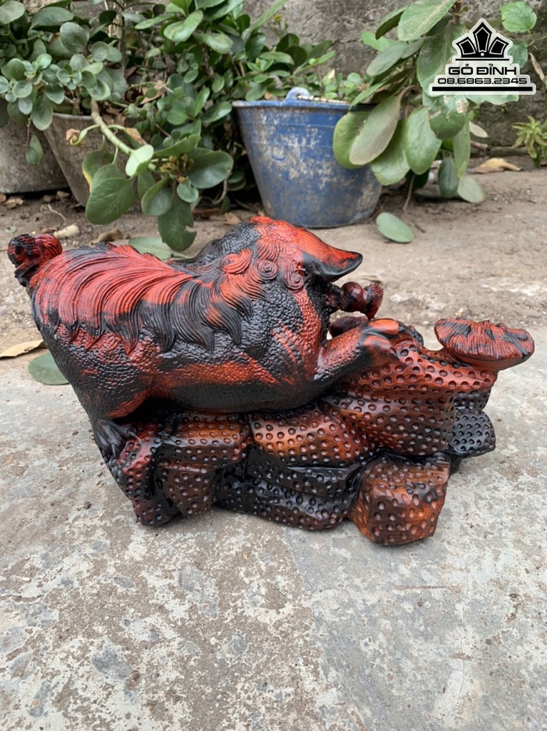 Tượng Lân Sư Gỗ Trắc Đỏ Đen Cao 20 Ngang 36 Sâu 20 (cm) 3