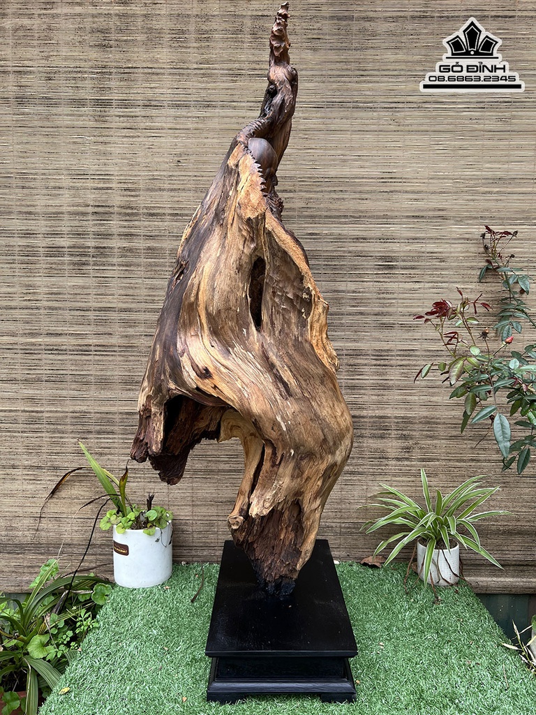 Tượng Đạt Ma Sư tổ Gỗ Bách Xanh Cao 93 Ngang 34 Sâu 35 (cm) 1