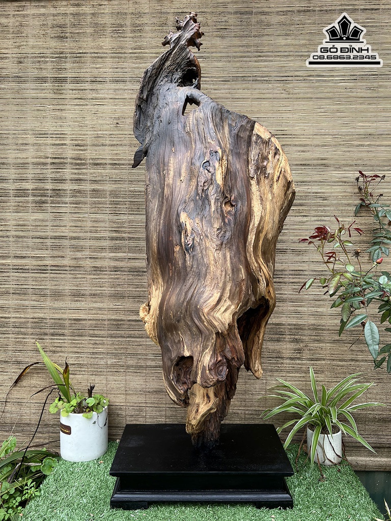 Tượng Đạt Ma Sư tổ Gỗ Bách Xanh Cao 93 Ngang 34 Sâu 35 (cm) 2