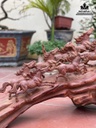 Tượng Ngựa  (Bát Mã) Gỗ Hương Cao 50 Ngang 97 Sâu 36 (cm) 2