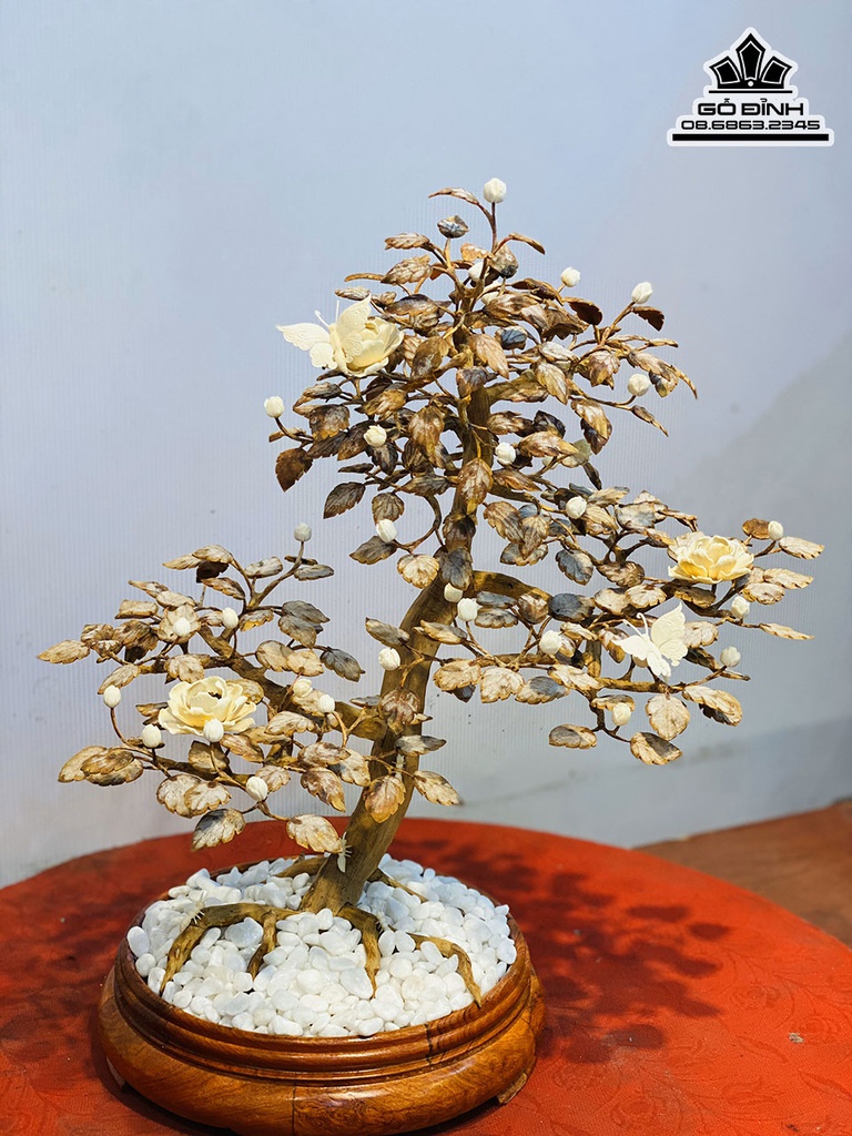 Bình Bonsai Gỗ Hoàng Đàn Cao 46 Rộng 42 Sâu 30 (cm) 0