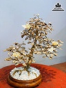 Bình Bonsai Gỗ Hoàng Đàn Cao 46 Rộng 42 Sâu 30 (cm) 0