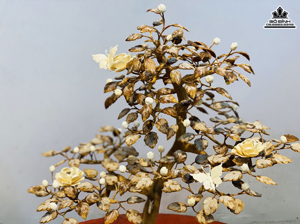 Bình Bonsai Gỗ Hoàng Đàn Cao 46 Rộng 42 Sâu 30 (cm) 3