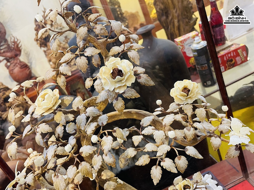 Bình Bonsai Gỗ Hoàng Đàn Cao 50 Rộng 40 Sâu 25 Cả Kỷ 65 (cm) 2