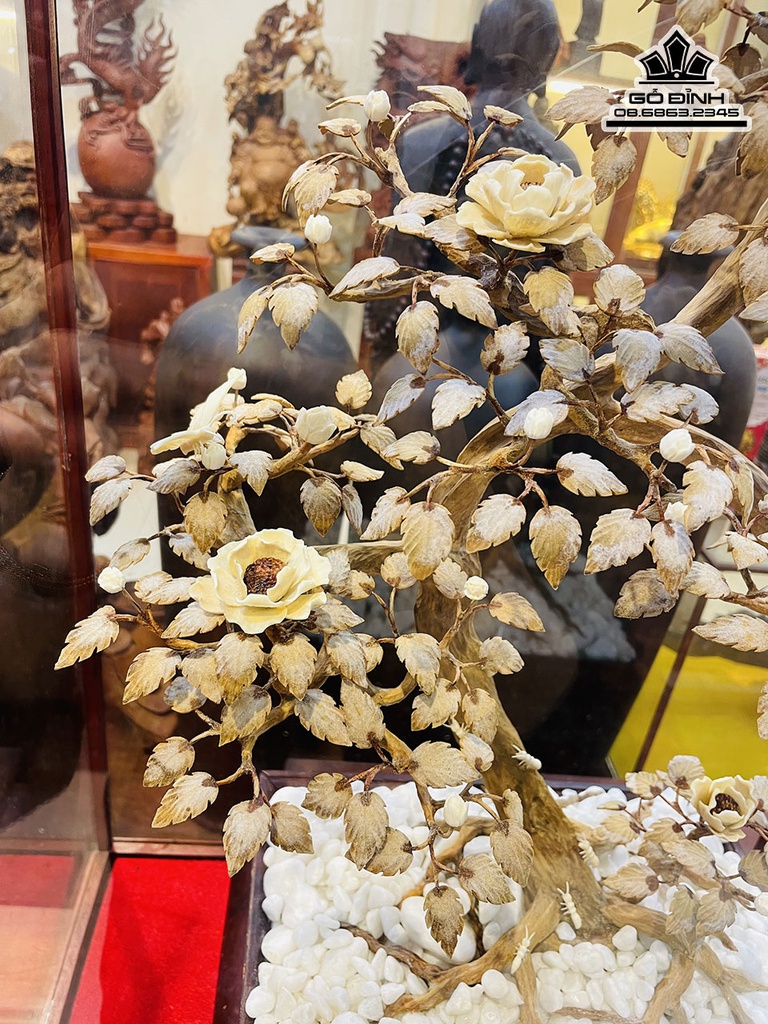 Bình Bonsai Gỗ Hoàng Đàn Cao 50 Rộng 40 Sâu 25 Cả Kỷ 65 (cm) 3