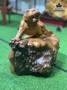 Tượng Hổ Gỗ Ngọc Am Cao 45 Ngang 51 Sâu 28 (cm) 2