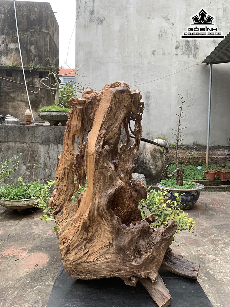 Tượng Nhất Tâm Bái Phật Gỗ Bạch Xanh Cao 110 Ngang 70 Sâu 40 (cm) 1