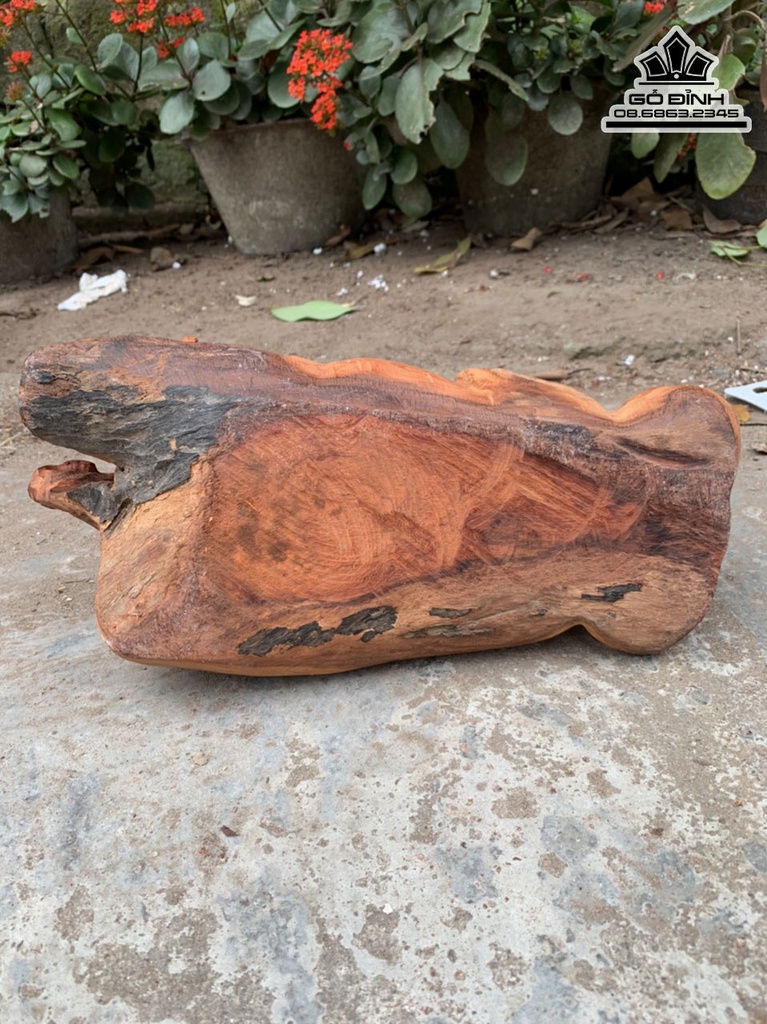 Tượng Chuột Mẫu Tử Gỗ Hương Việt Cao 15 Ngang 35 Sâu 18 (cm) 3