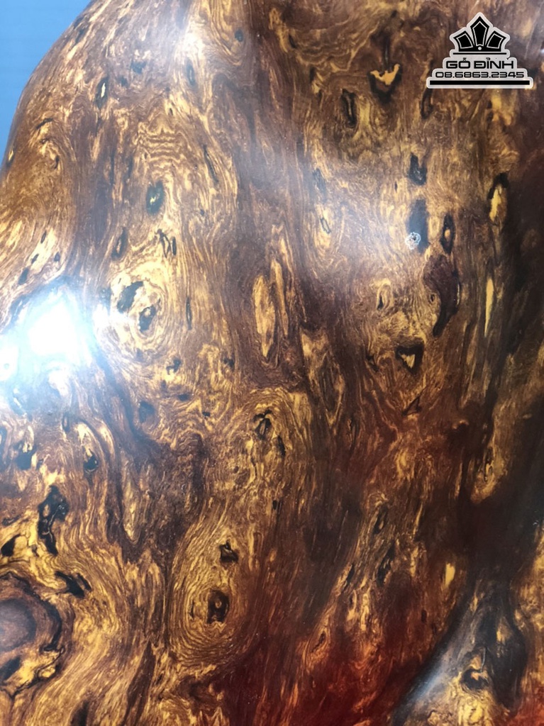 Tượng Heo Rừng Gỗ Nu Cẩm Cao 55 Ngang 50 Sâu 30 (cm) 1