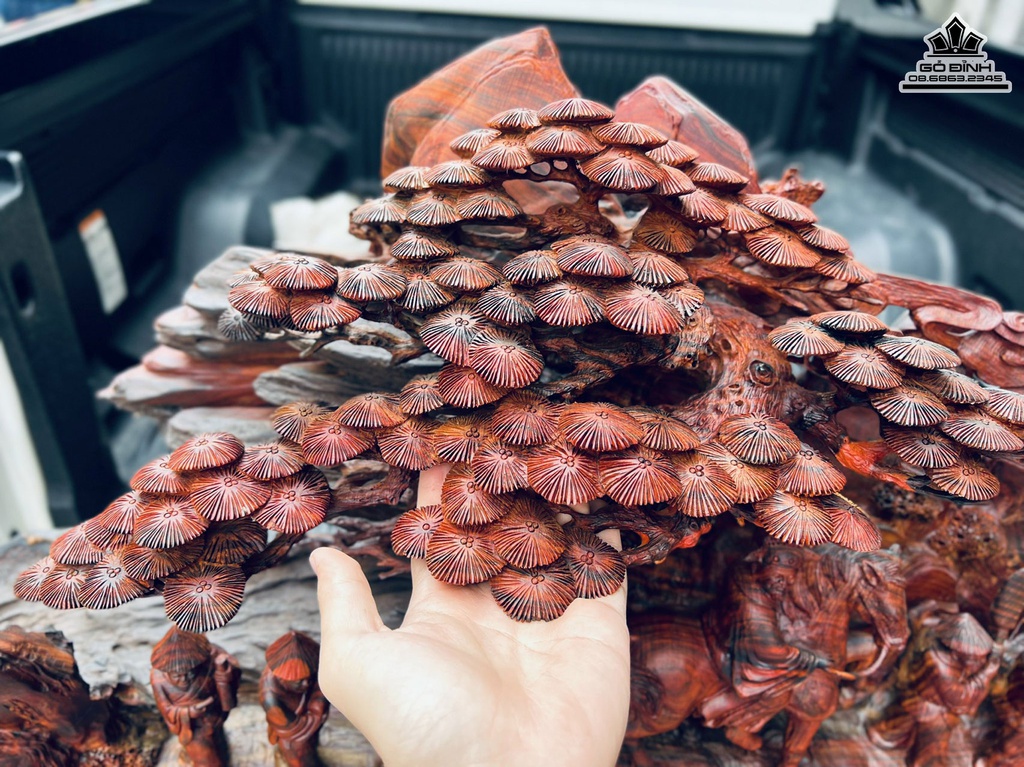 Tượng Vinh Quy Bái Tổ Gỗ Trắc Liền Khối Cao 65 Ngang 130 Sâu 26 (cm) 0