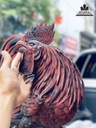 Tượng Gia Đình Gà Gỗ Trắc Liền Khối Cao 77 Ngang 45 Sâu 22 (cm) 9