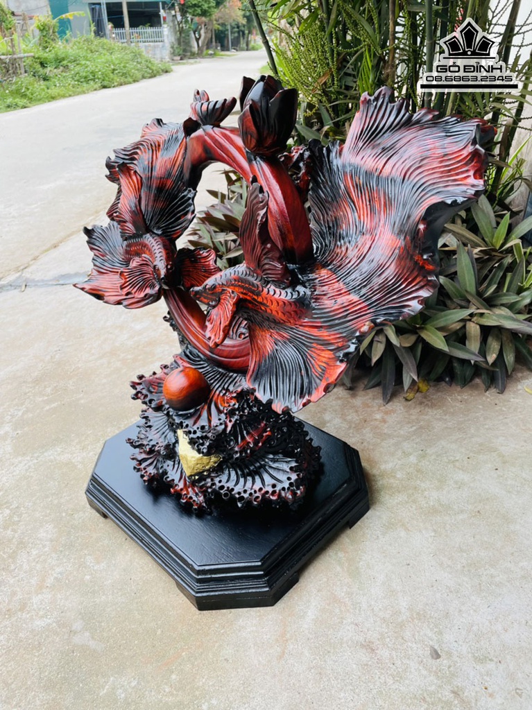 Tượng Cá Xiêm Gỗ Trắc Cao 30 Ngang 73 Sâu 30 (cm) 1