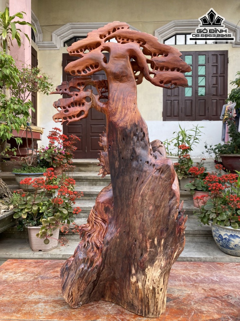Tượng Ngựa Đứng Gốc Tùng Gỗ Hương Cao 83 Ngang 40 Sâu 19 (cm) 4