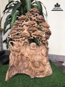 Tượng Phật Di Lặc Ngồi Gốc Tùng Gỗ Ngọc Am Cao 70 Ngang 52 Sâu 28 (cm) 3