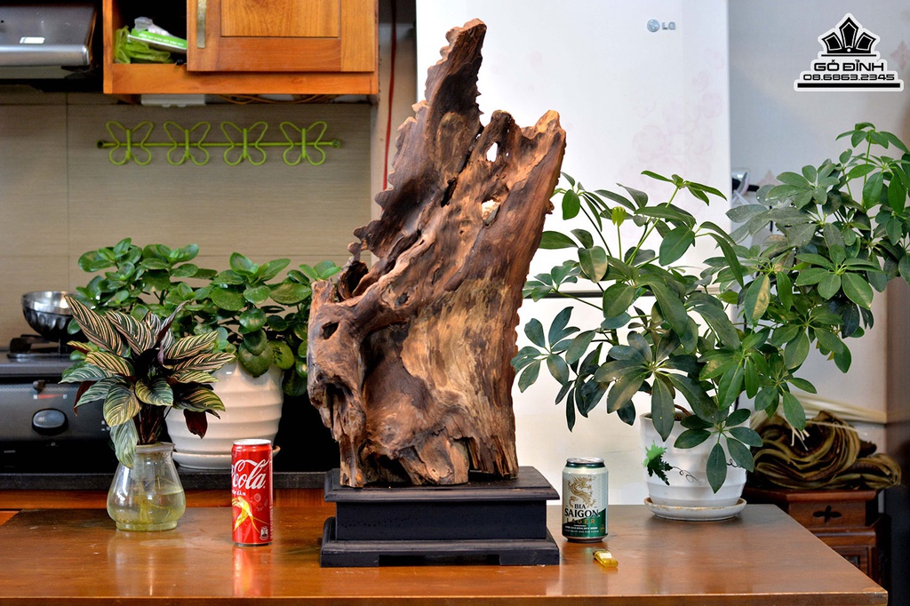 Tượng Nhất Tâm Bái Phật Gỗ Bách Xanh Cao 72 Ngang 28 Sâu 20 (cm)6