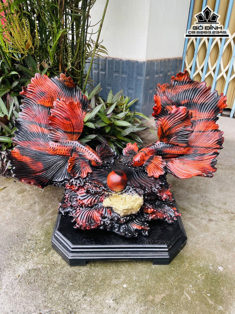 Tượng Cá Xiêm Gỗ Trắc Cao 48 Ngang 75 Sâu 30 (cm)3