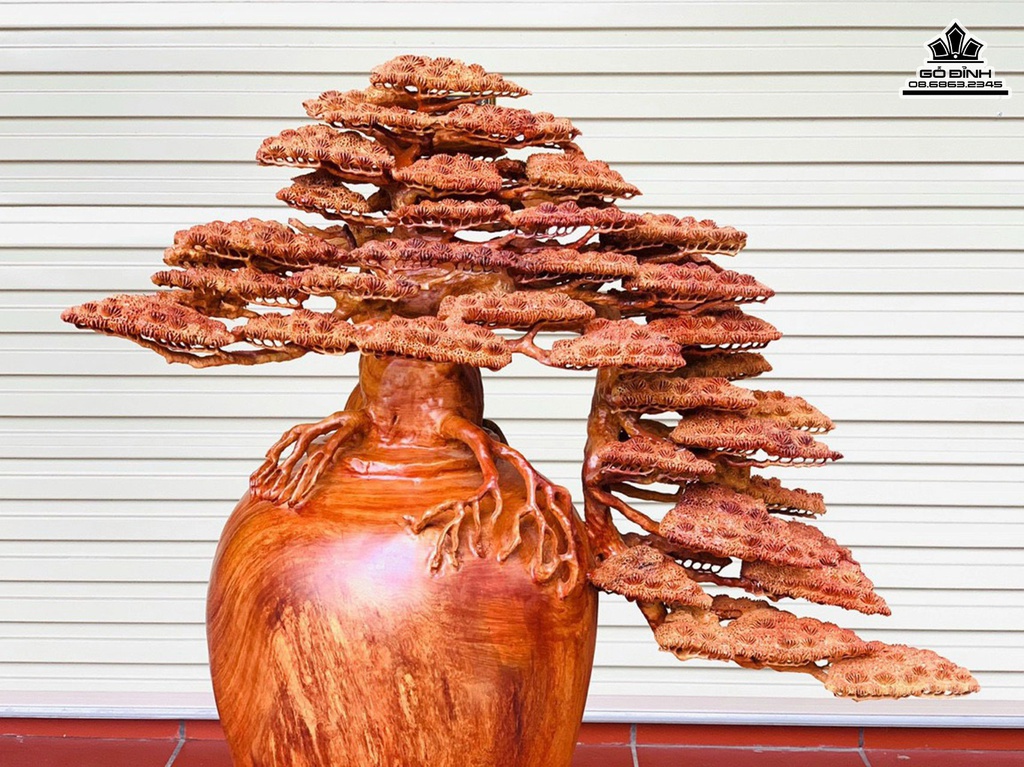 Bình Tùng Bonsai Gỗ Hương cao 76 Ngang 76 Sâu 38 (cm) 4