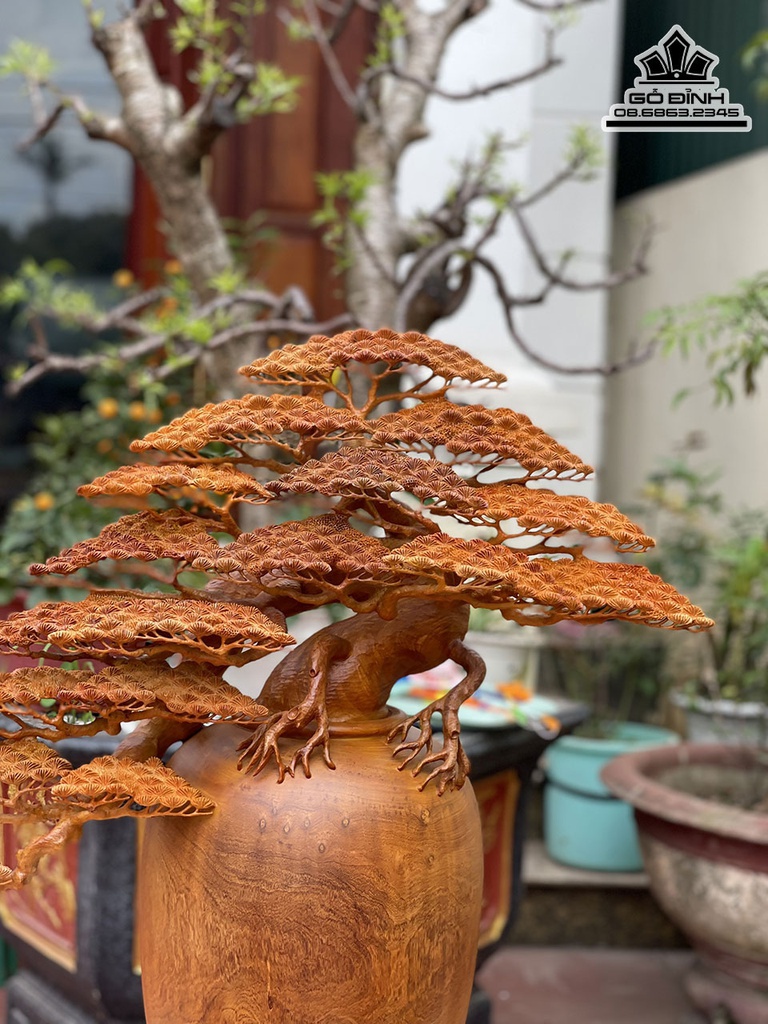 Cặp Bình Bonsai Gỗ Hương Việt Cao 75 Ngang 80 Sâu 30 (cm) 3