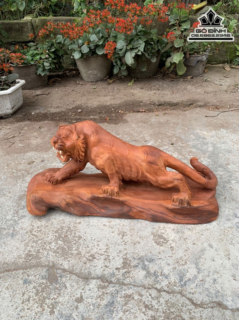 Tượng Hổ Gỗ Hương Cao 25 Ngang 60 Sâu 20 (cm) 2