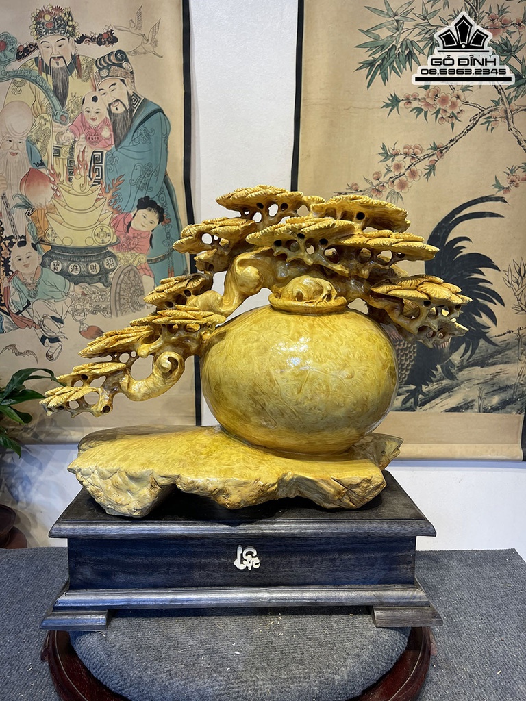 Bình Tùng Bonsai Gỗ Nu Kháo Cao 55 Ngang 40 Sâu 23(cm) 0