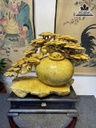 Bình Tùng Bonsai Gỗ Nu Kháo Cao 55 Ngang 40 Sâu 23(cm) 4