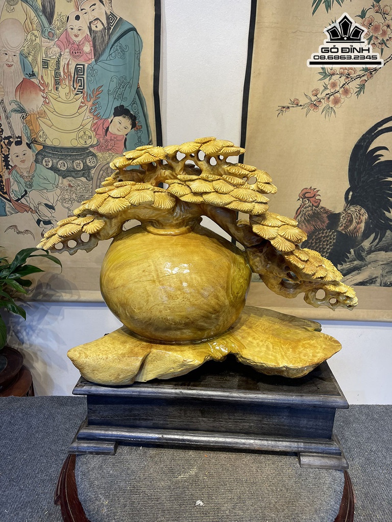 Bình Tùng Bonsai Gỗ Nu Kháo Cao 55 Ngang 40 Sâu 23(cm)5