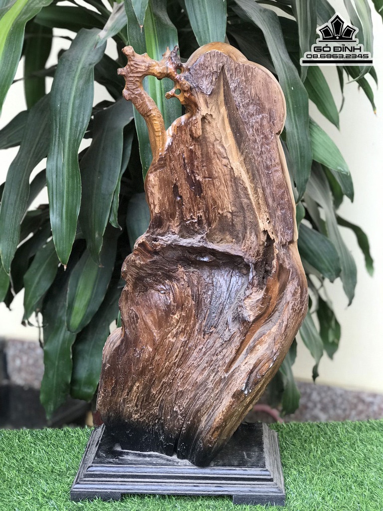 TƯợng Ông Thọ Gỗ Bách Xanh Cao 63 Ngang 28 Sâu 21 (cm) 4