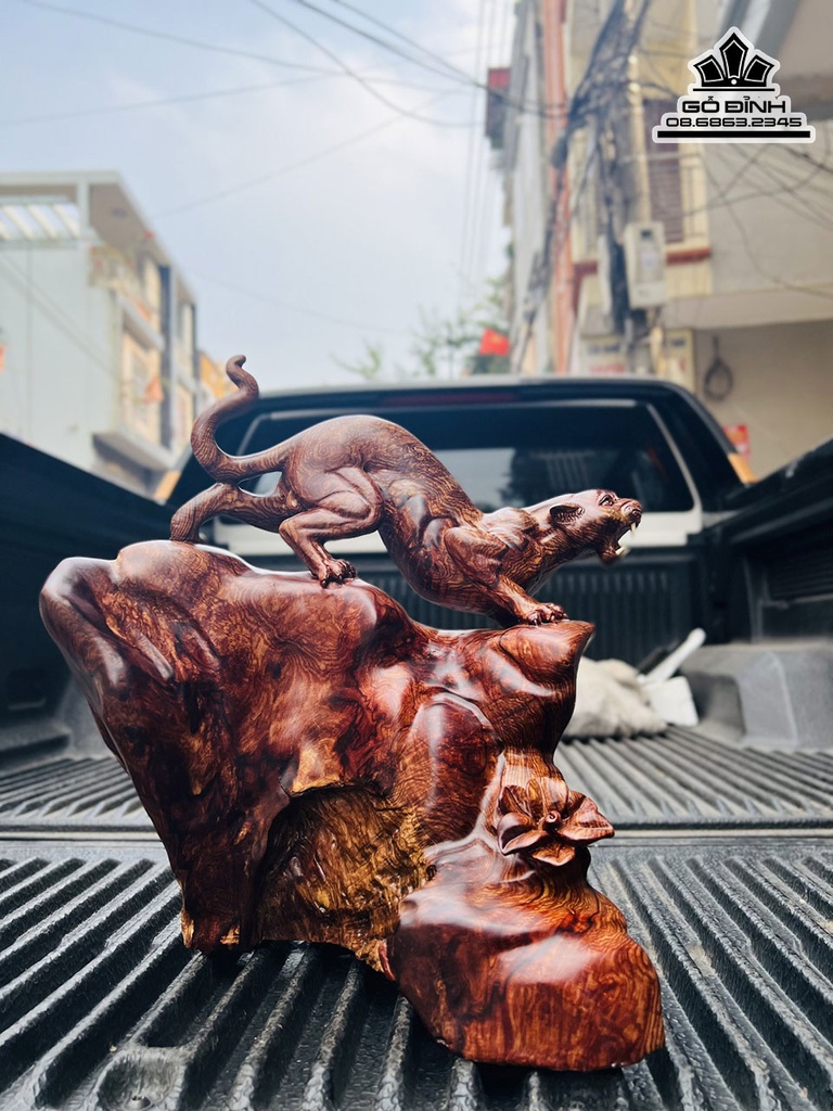 Tượng Báo Săn Mồi Gỗ Cẩm Gia Lai Liền Khối Cao 39 Ngang 36 Sâu 22 (cm) 3
