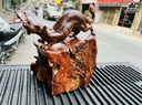 Tượng Báo Săn Mồi Gỗ Cẩm Gia Lai Liền Khối Cao 39 Ngang 36 Sâu 22 (cm) 6