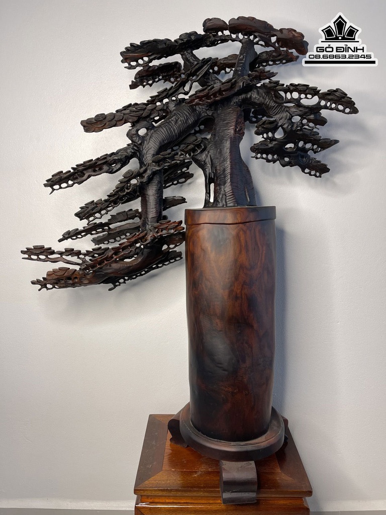 Bình Tùng Bonsai Gỗ Trắc Cao 100 Ngang 65 Sâu 20 (cm) 2