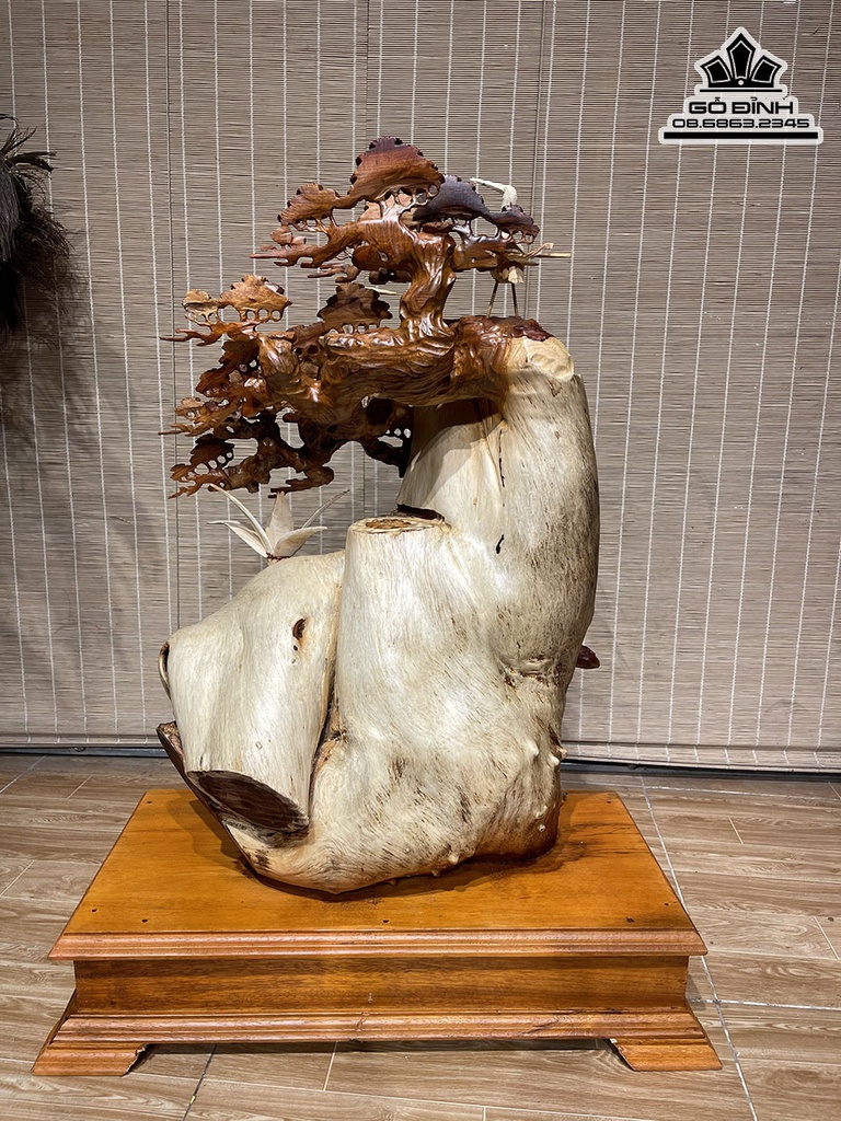 Cây Tùng Hạc Gỗ Hương Việt Cao 83 Ngang 60 sâu 33 Cả Kỷ 93 (cm)5