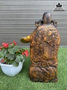 Tượng Thần Tài Gỗ Hương Cao 52 Ngang 24 Sâu 15 (cm)4