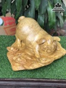 Tượng Heo Gỗ Nu Kháo Cao 28 Ngang 45 Sâu 46 (cm) 2