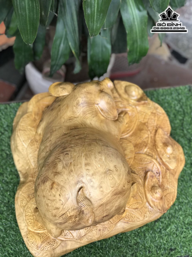 Tượng Heo Gỗ Nu Kháo Cao 28 Ngang 45 Sâu 46 (cm) 3