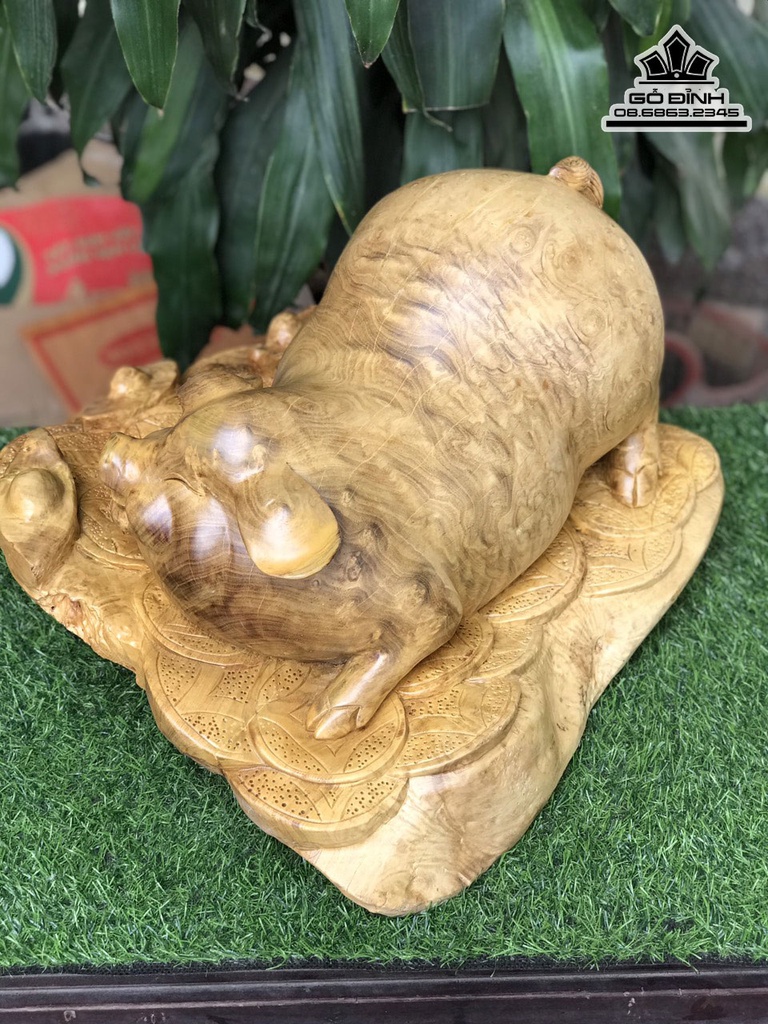 Tượng Heo Gỗ Nu Kháo Cao 28 Ngang 45 Sâu 46 (cm)7