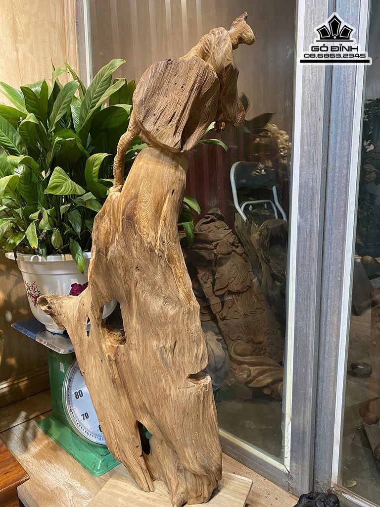 Tượng Đạt Ma Sư Tổ Gỗ Lũa Ngọc Am Cao 97 Ngang 45 Sâu 22 (cm)6