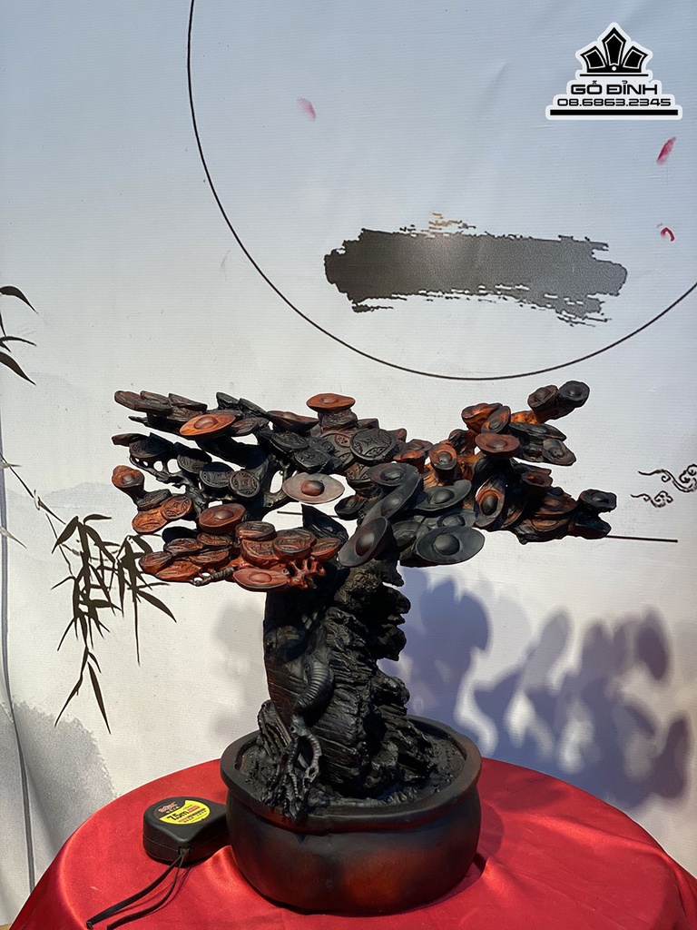 Cây Kim Tiền Gỗ Trắc Cao 54 Ngang 50 Sâu 40 (cm) 4