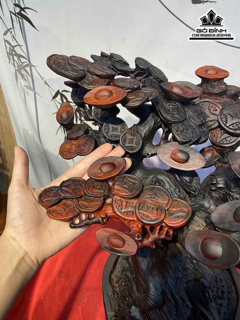 Cây Kim Tiền Gỗ Trắc Cao 54 Ngang 50 Sâu 40 (cm) 5