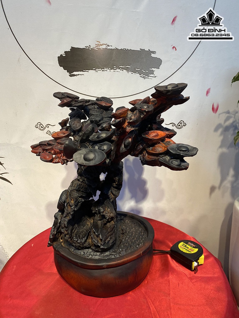 Cây Kim Tiền Gỗ Trắc Cao 54 Ngang 50 Sâu 40 (cm)6