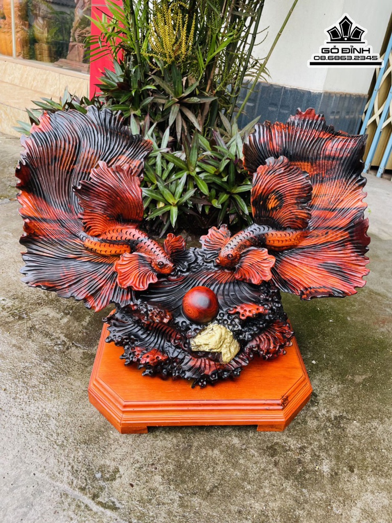 Tượng Cá Xiêm Gỗ Trắc Cao 50 Ngang 70 Sâu 28 (cm) 3