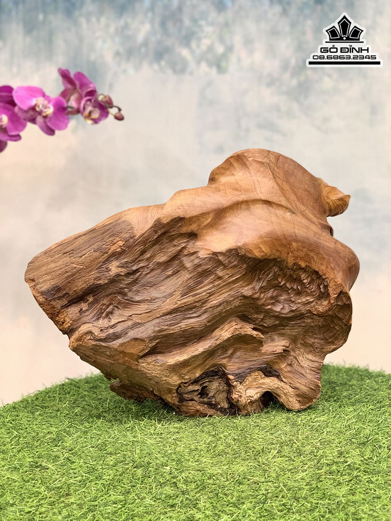 Tượng Đạt Ma Sư Tổ Gỗ Lũa Bách Xanh Cao 35 Ngang 45 Sâu 30 (cm) 1