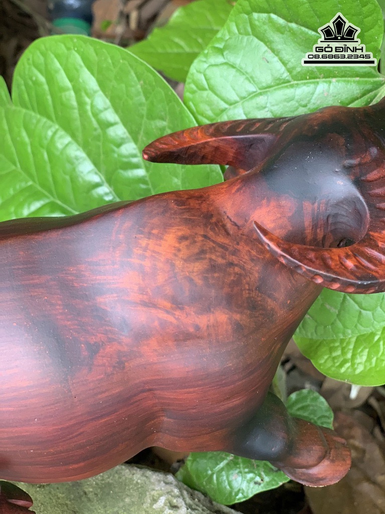 Tượng Trâu Gỗ Trắc Cao 11 Ngang 20 Sâu 10 (cm) 2