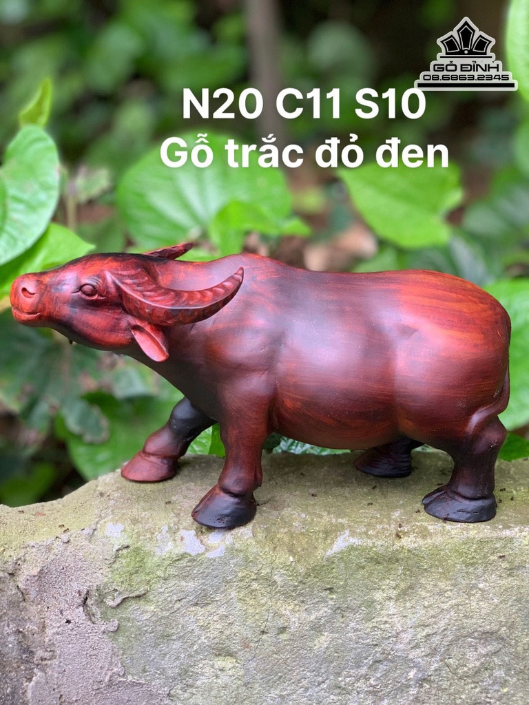 Tượng Trâu Gỗ Trắc Cao 11 Ngang 20 Sâu 10 (cm) 3
